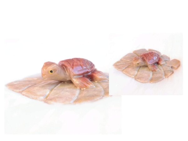 Teknős